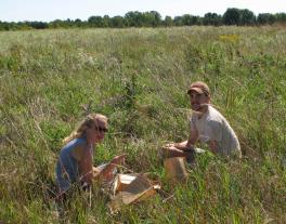 students conducting research in meadow