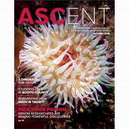 ASCENT Magazine Autumn 2018 issue cover