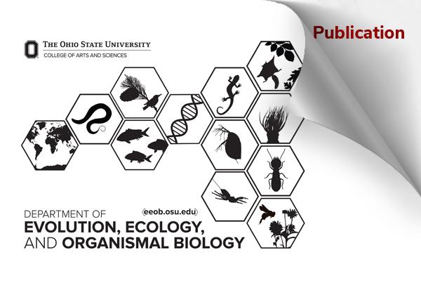 EEOB publication graphic