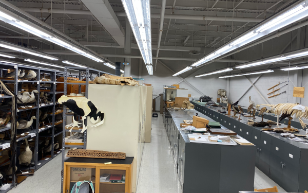 tetrapod collection overview