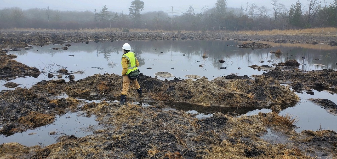 Julie Busa, PhD examines recent earthwork at recently restored wetlands on former cranberry bog