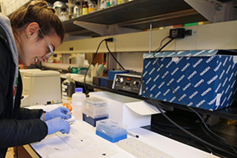 student working in lab