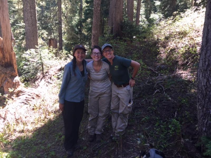 chavez lab group chavez lab group
