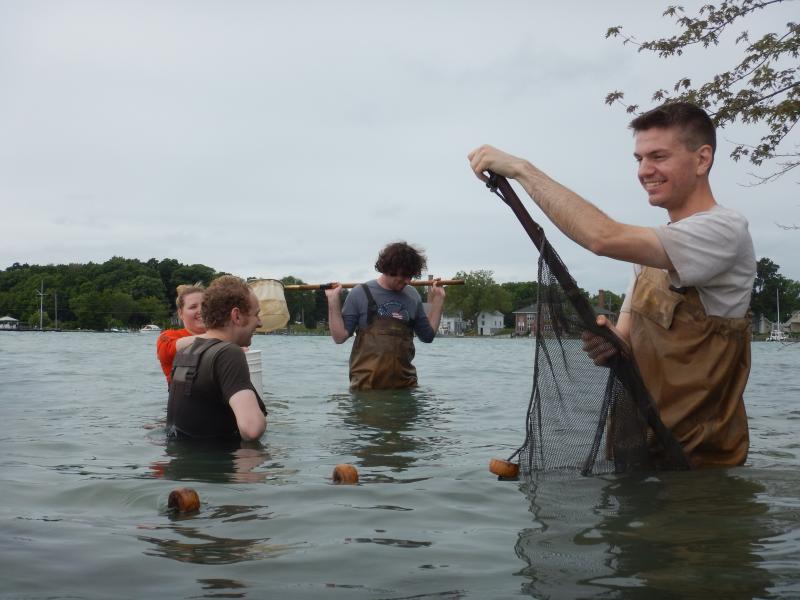 Connor, Emily, Sean seining on Alligator Bar