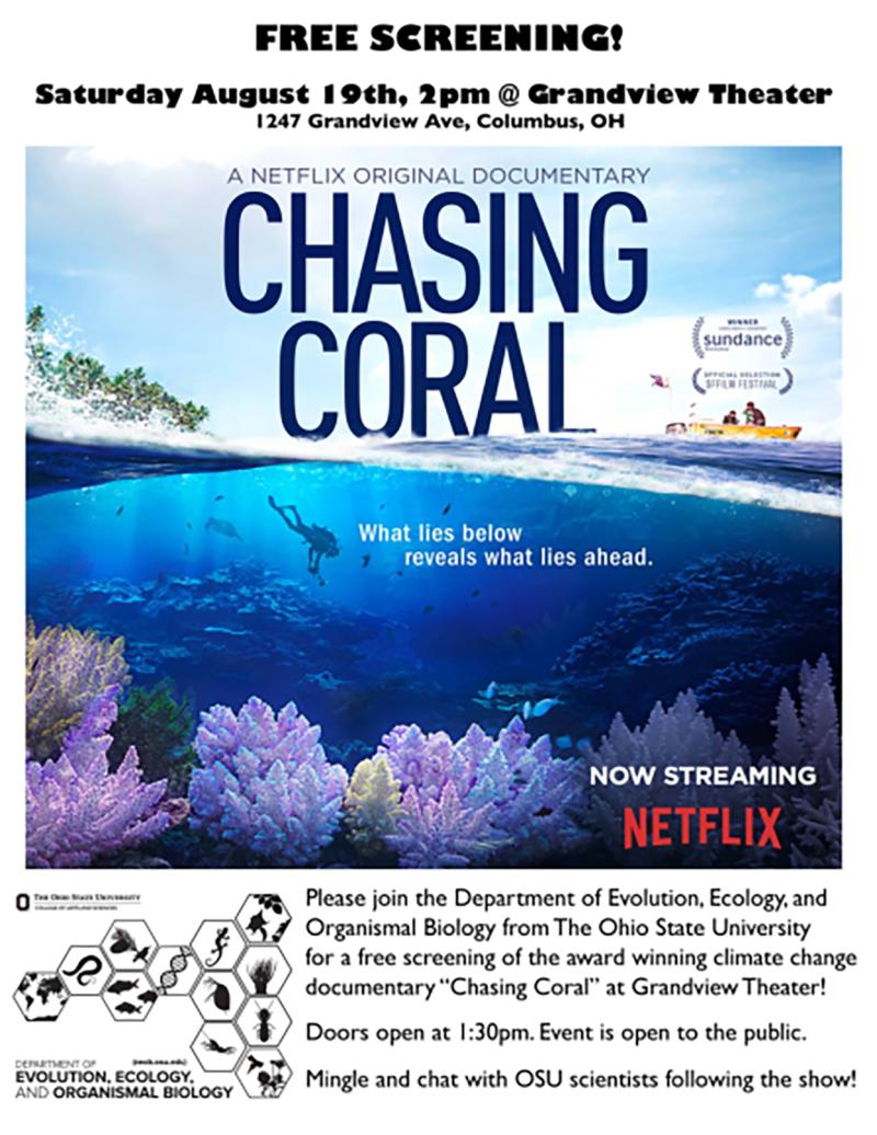 Chasing Coral Chasing Coral