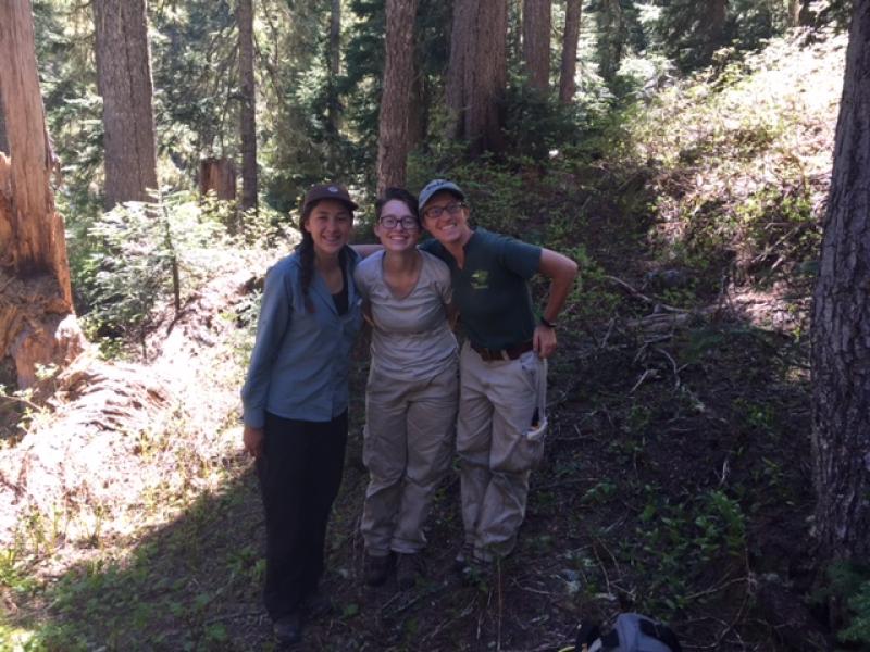 chavez lab group chavez lab group