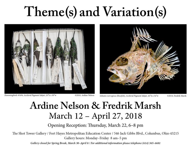 Theme(s) and Variation(s)