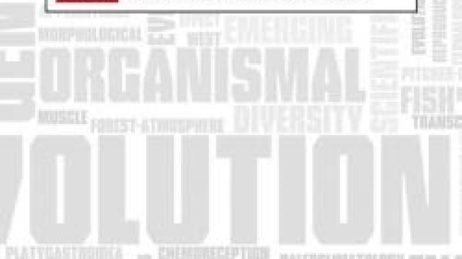 EEOB horizontal graphic on gray and white word cloud