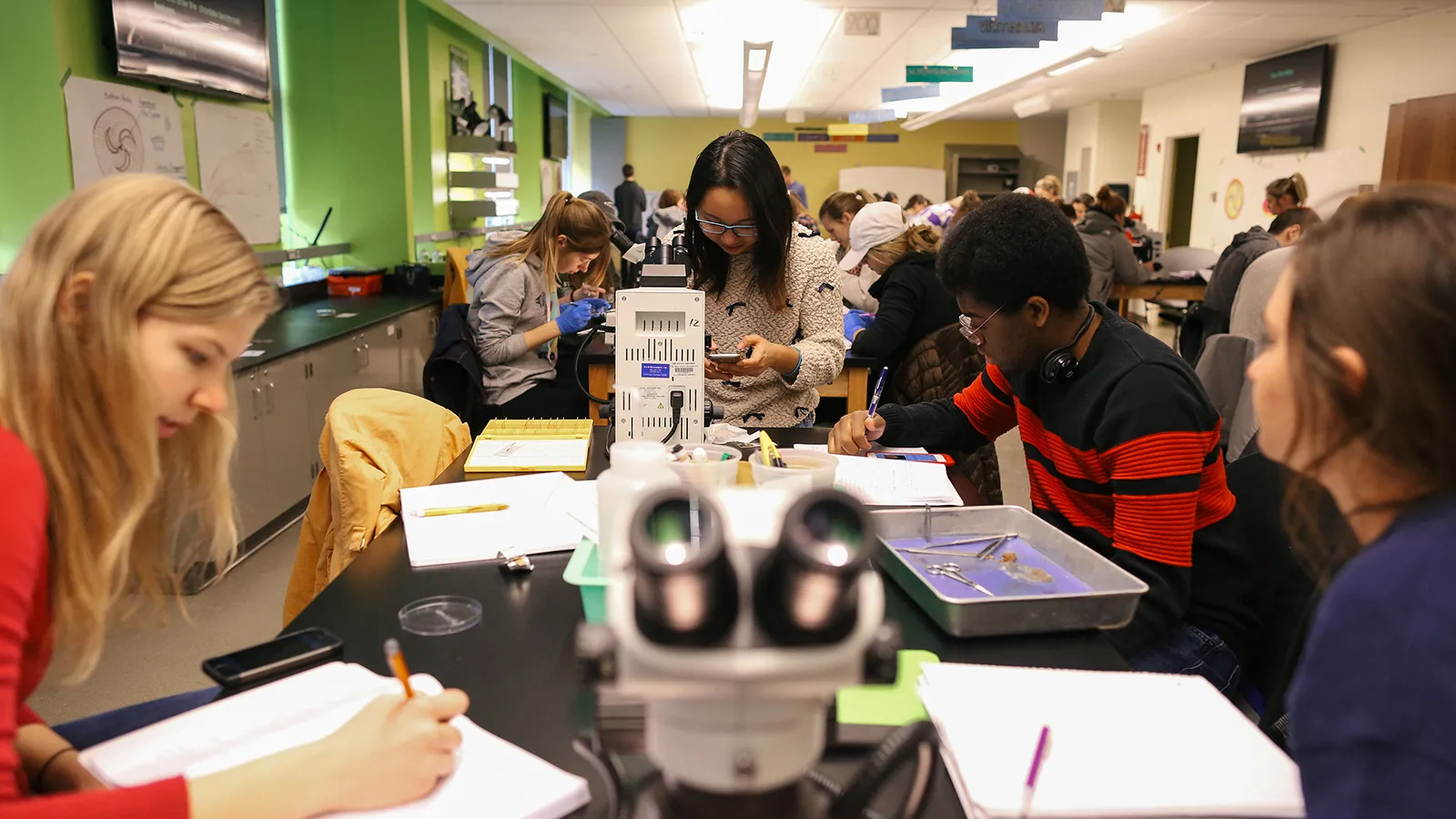 EEOB3320 students working on dissections