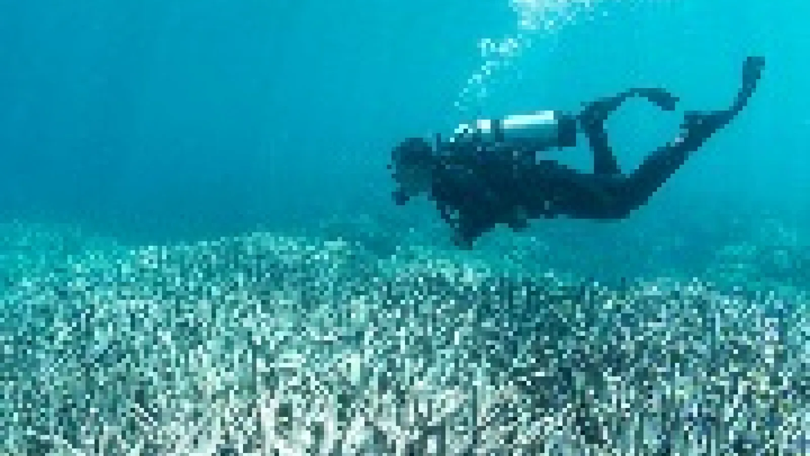 diving