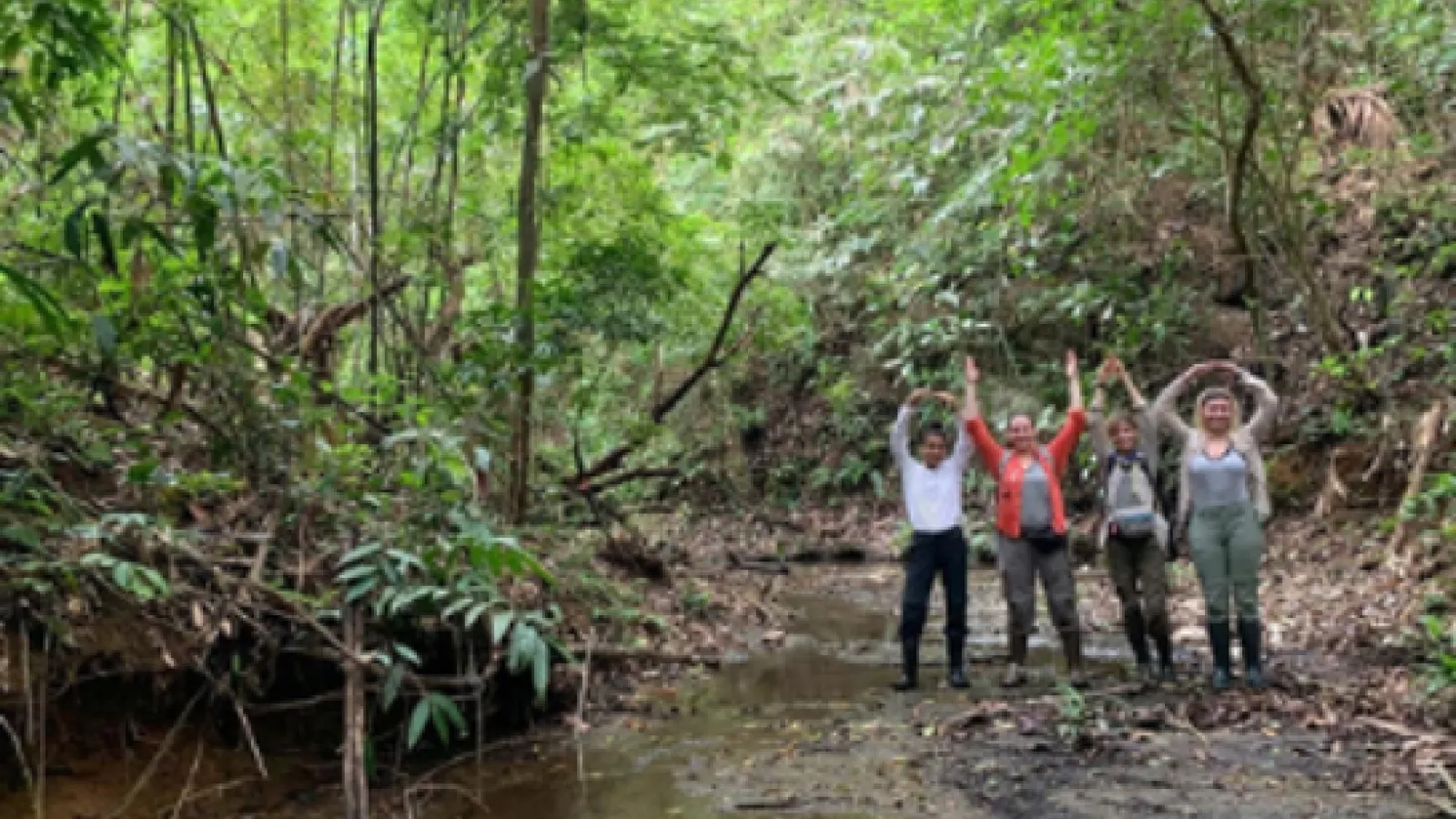 Students from Tropical Behavioral Ecology and Evolution in Panama. From left to right: Julian Roberts, Stephanie Murray, Victoria Sadowski, and Marissa Moran. 
