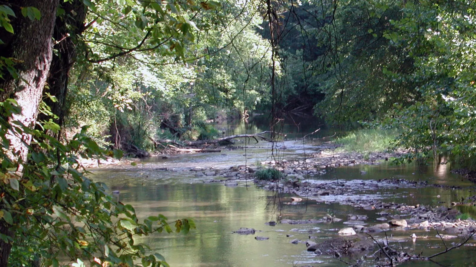 Clear Creek Metro Park