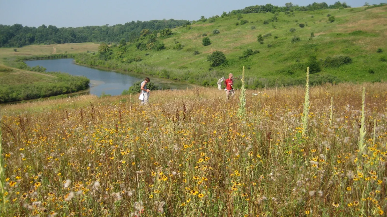 goodell lab conducting research in field
