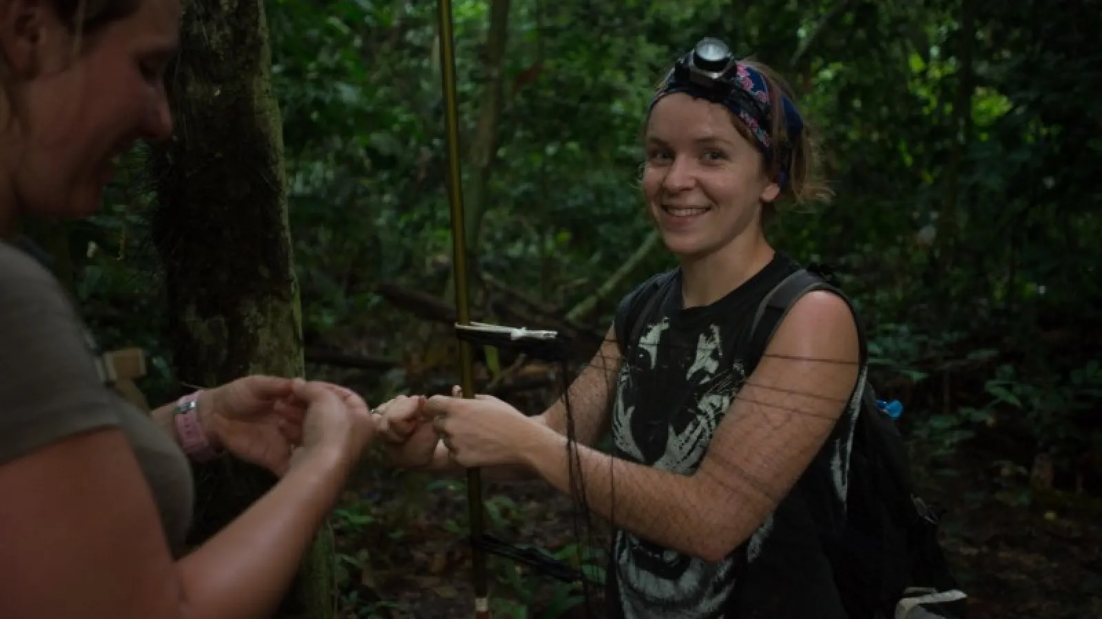 may Dixon setting up mist net