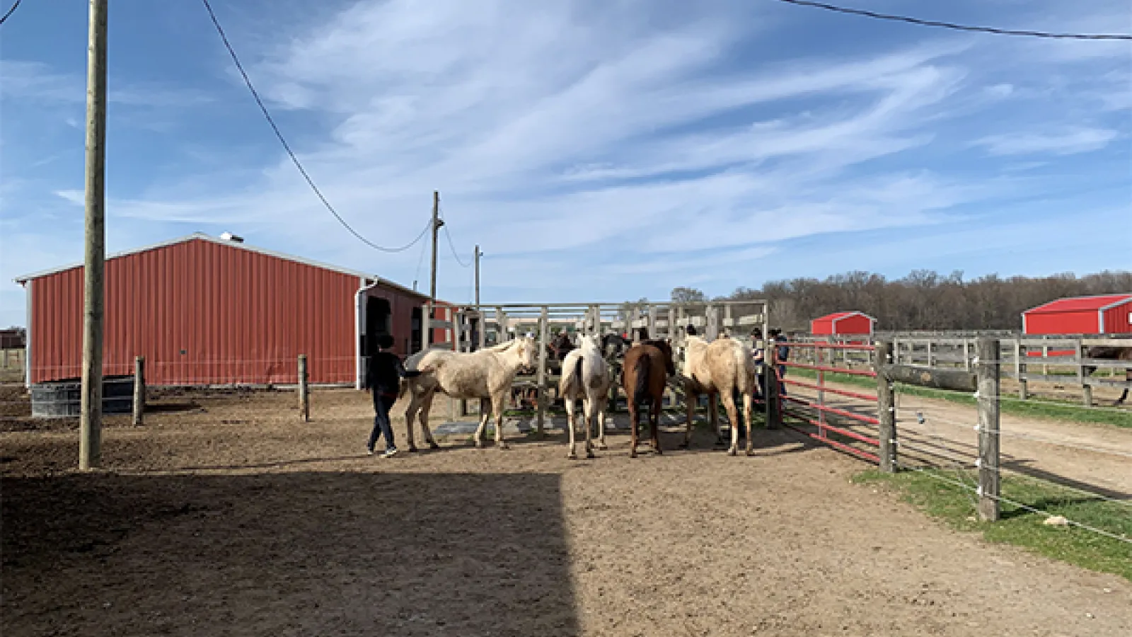 UResearch students with horses