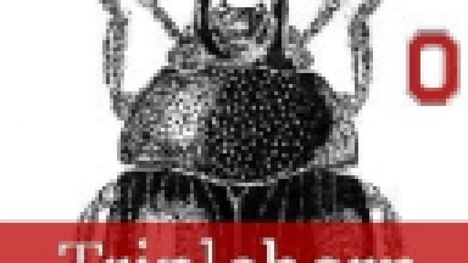 triplehorn beetle
