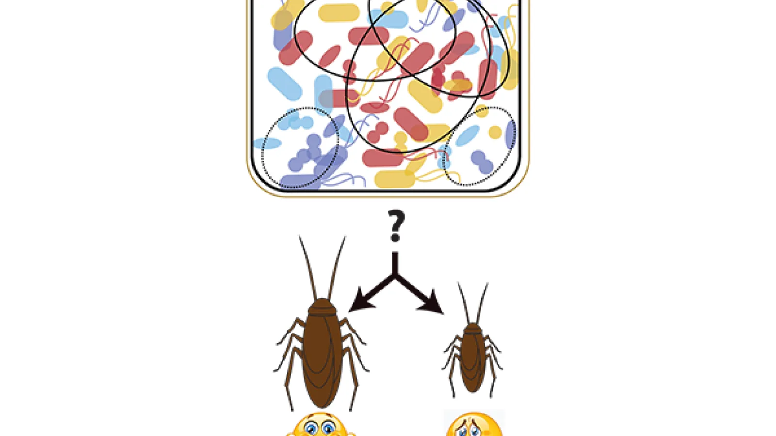 sabres_cockroaches