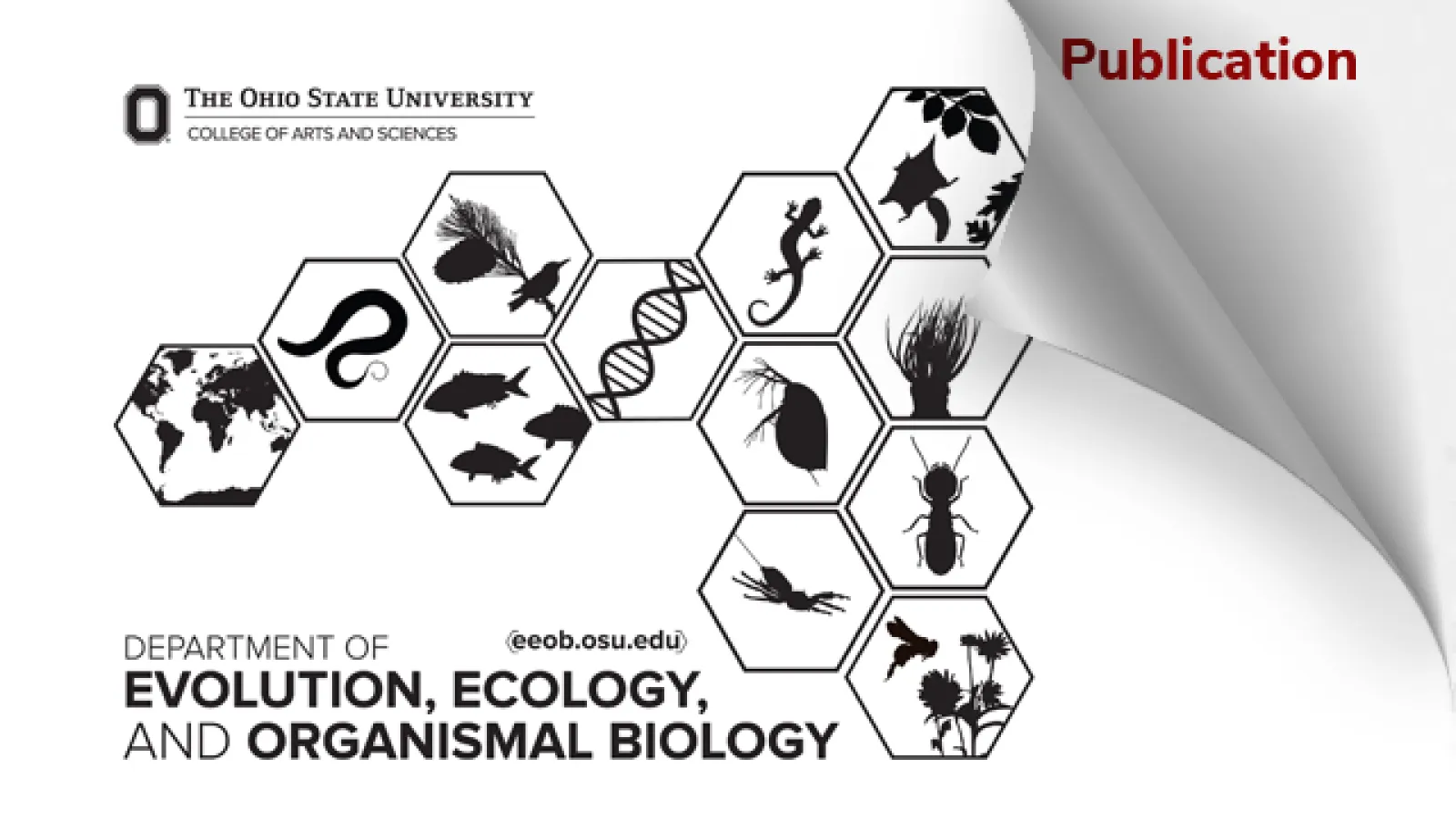 dog-eared EEOB graphic reveals word publication on following page