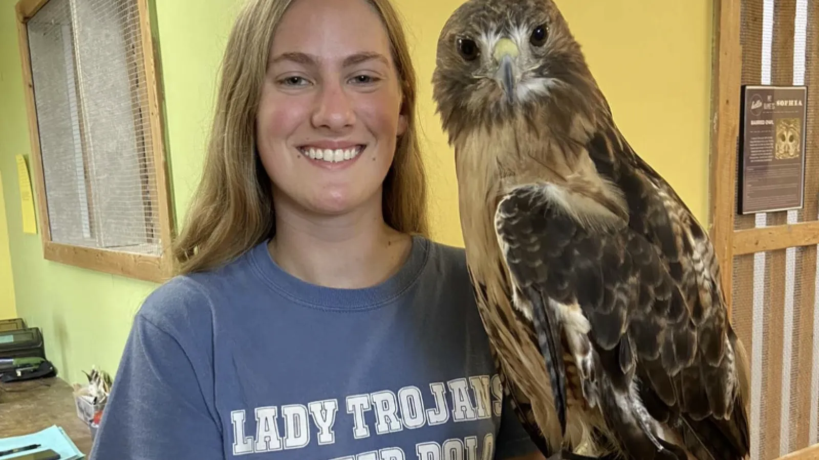 sebunia holding hawk