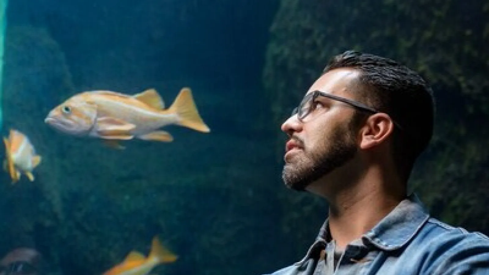 Alonso Delgado in front of aquarium