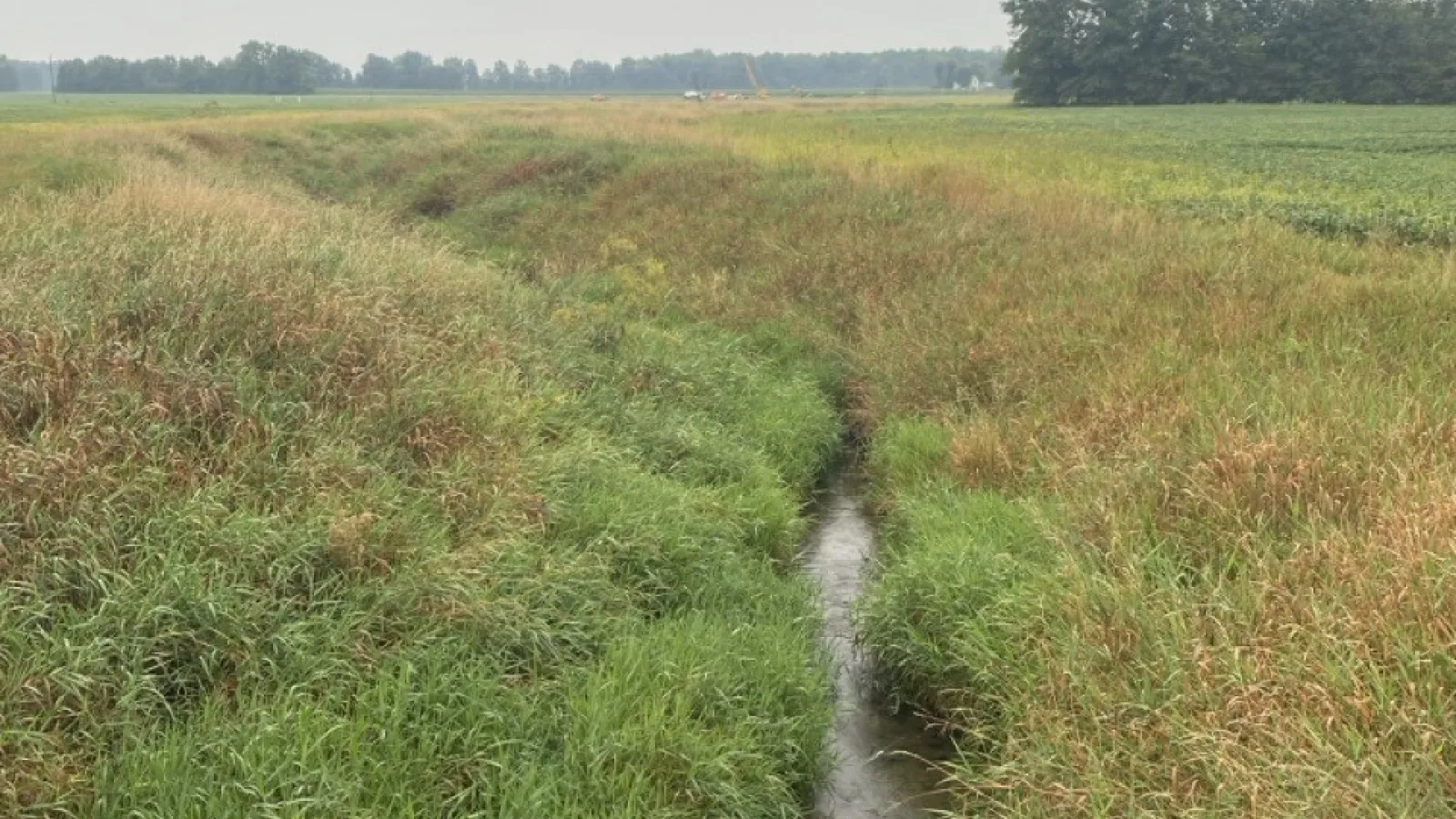stream in agricultural field
