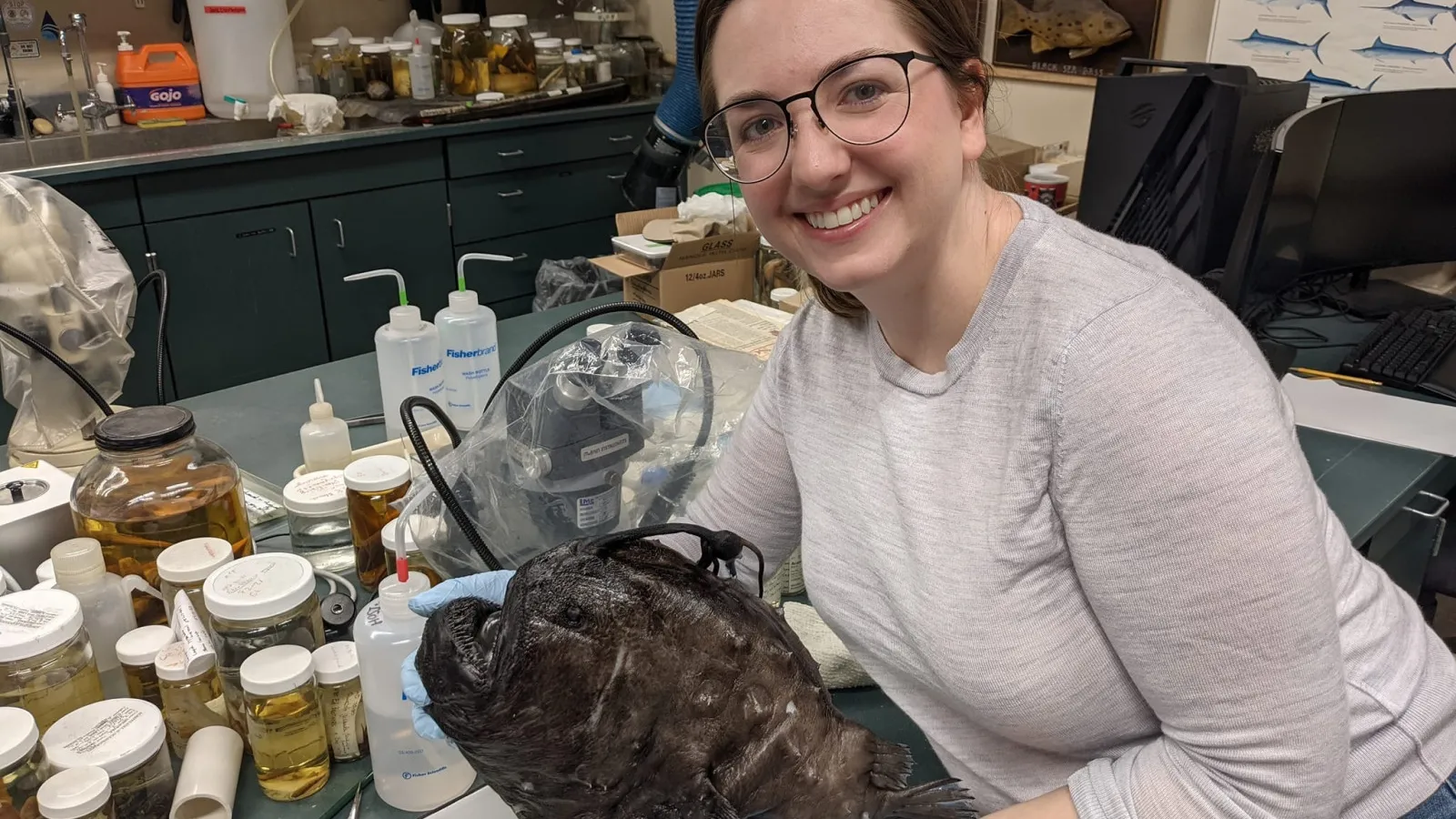 Liz Santos holding anglerfish specimen over lab counter