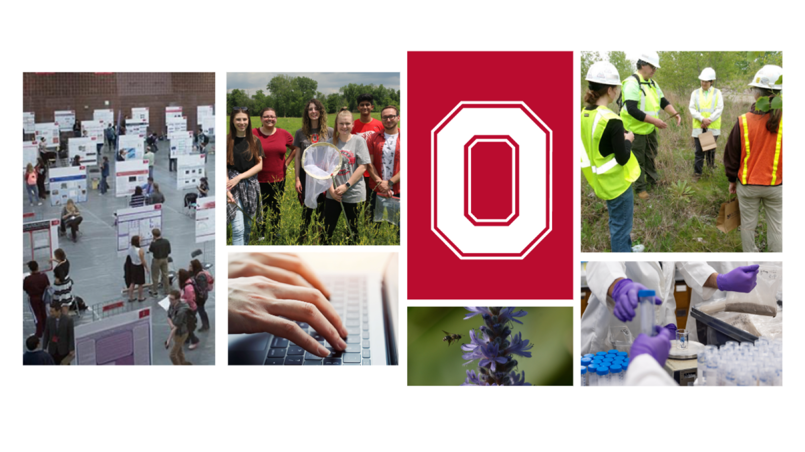 collage of various undergraduate research opportunities surrounding white block o on scarlet background