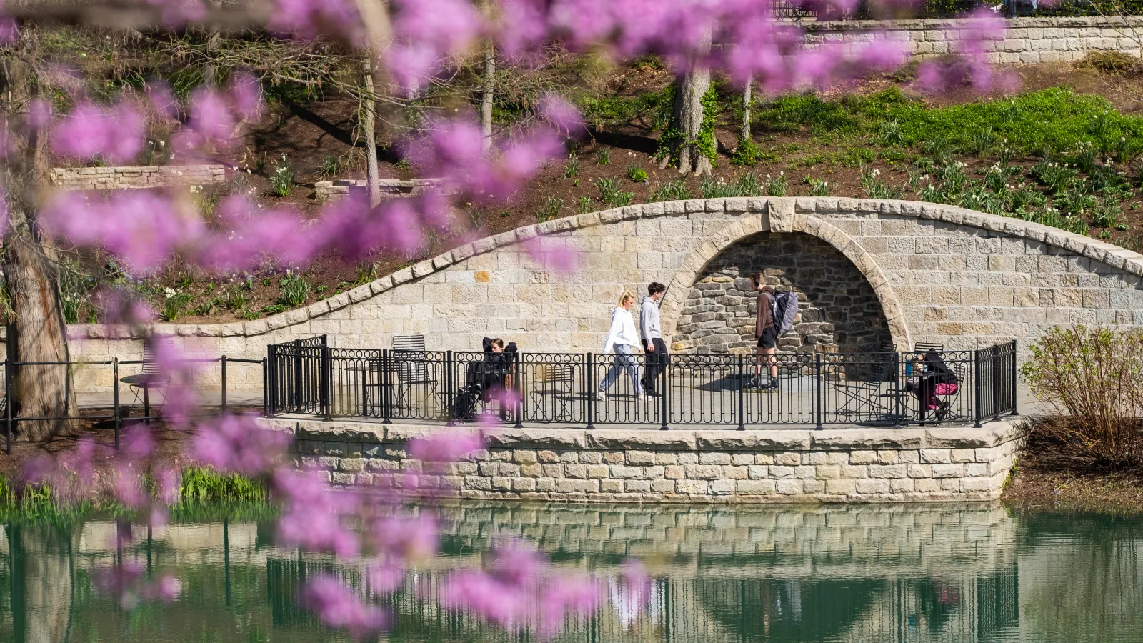 Mirror lake grotto in background with blooming redbuds in the foreground