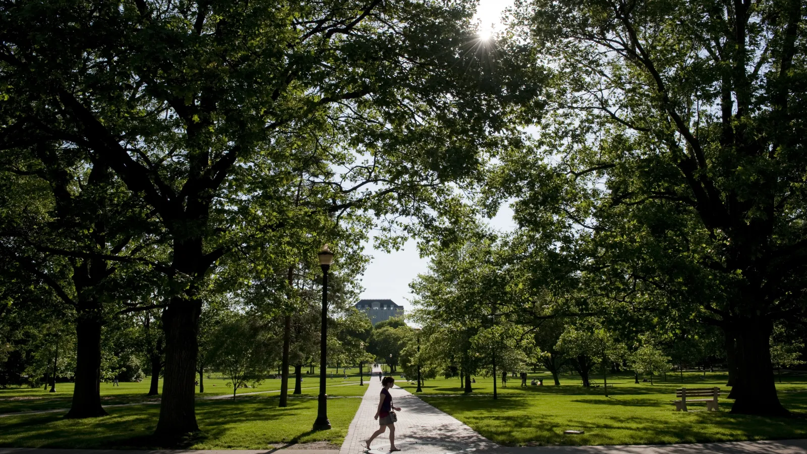 person walking along sidewalk on oval in summer
