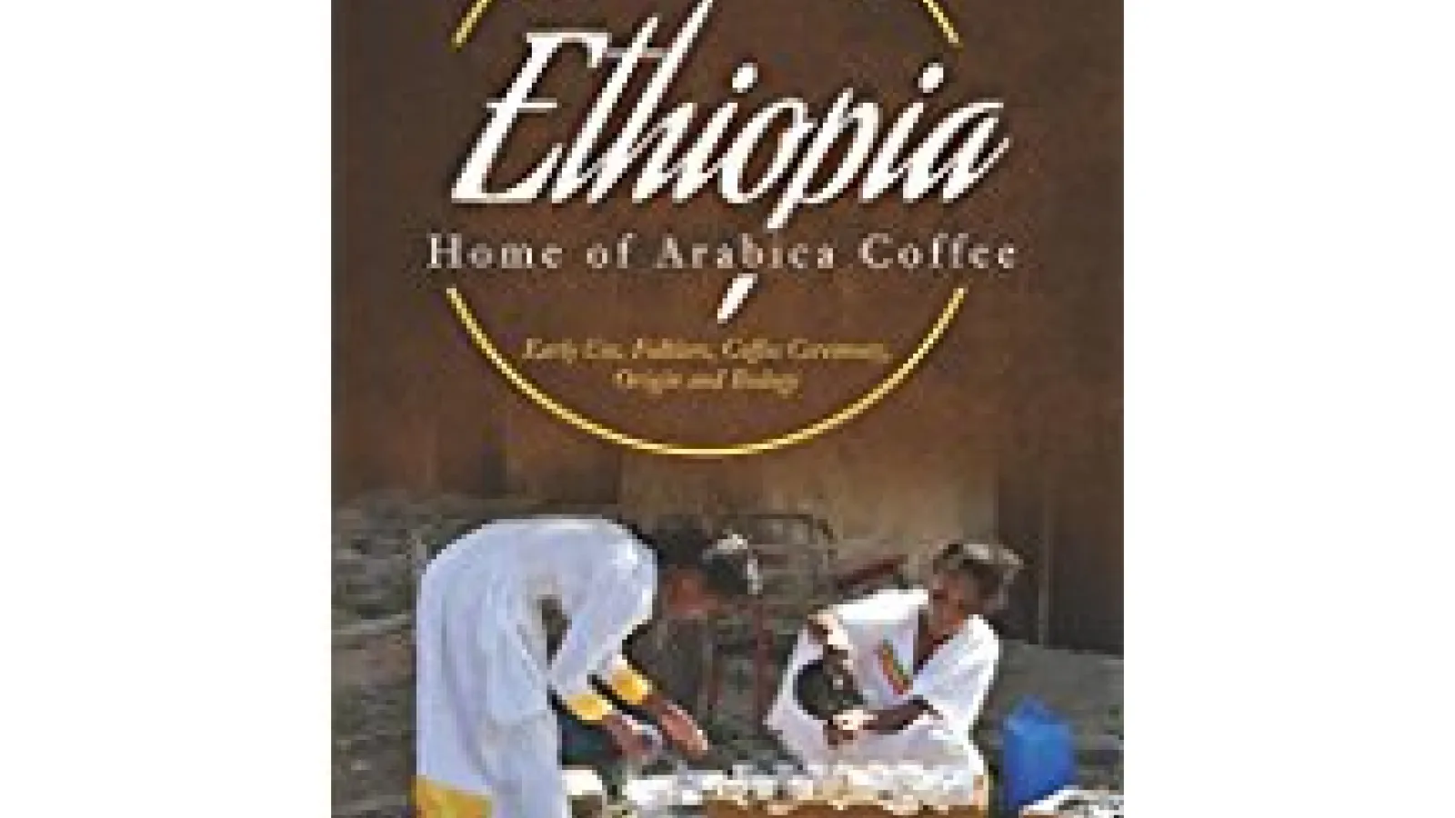 Mesfin's book