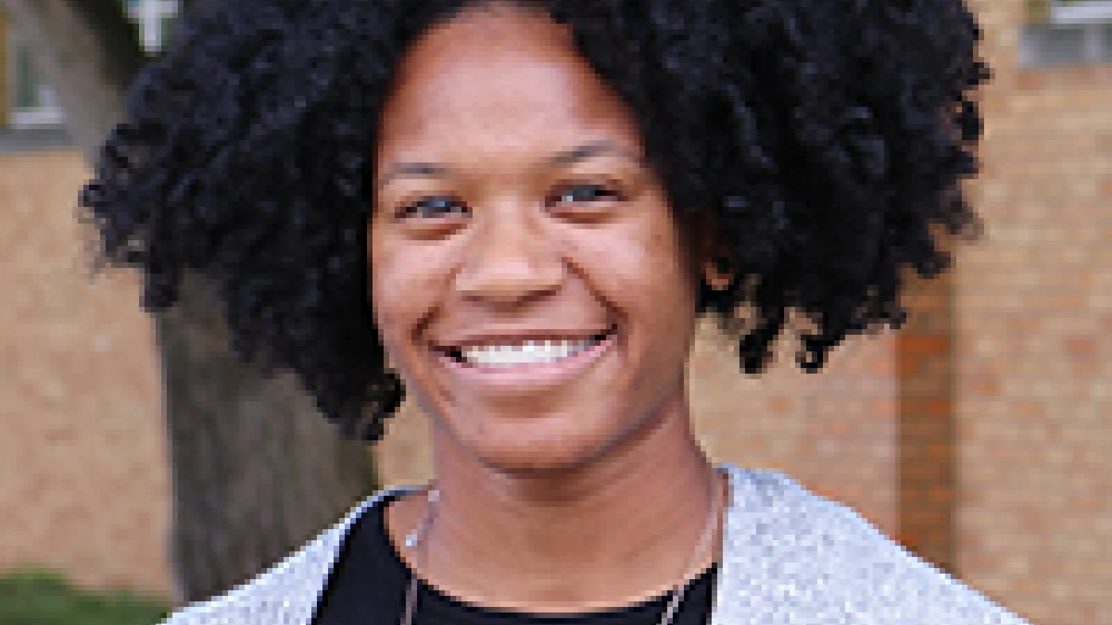 huddleston