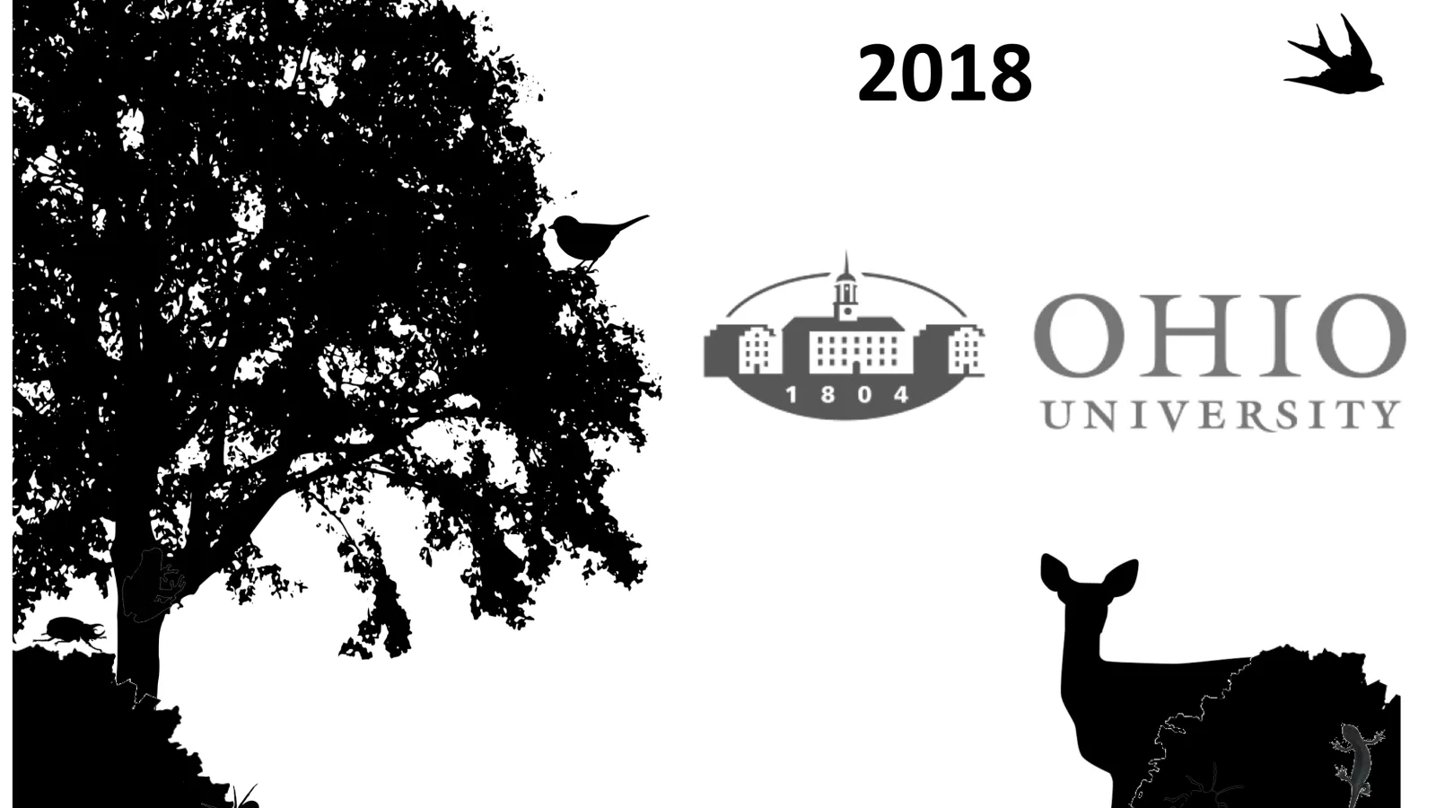  OU BioBlitz
