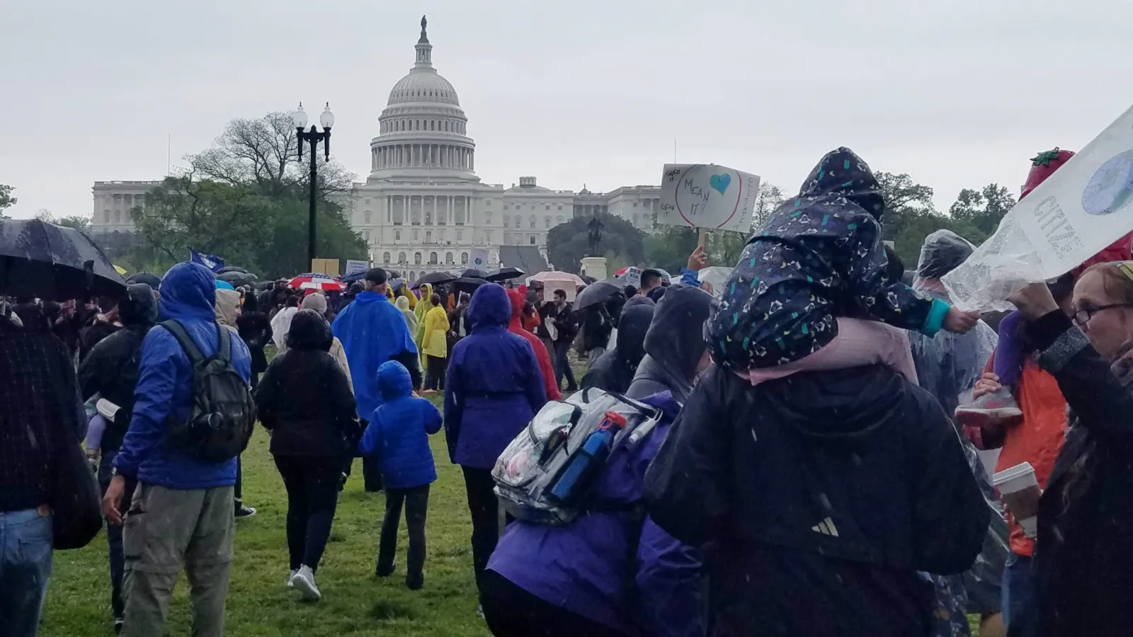 capitol march