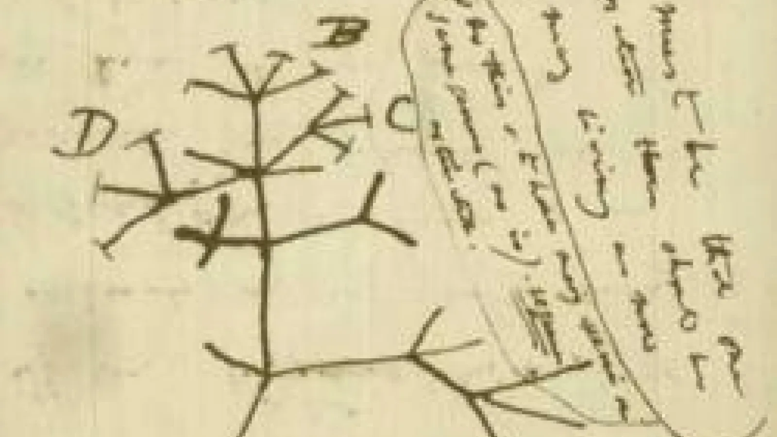 Darwin's I think sketch