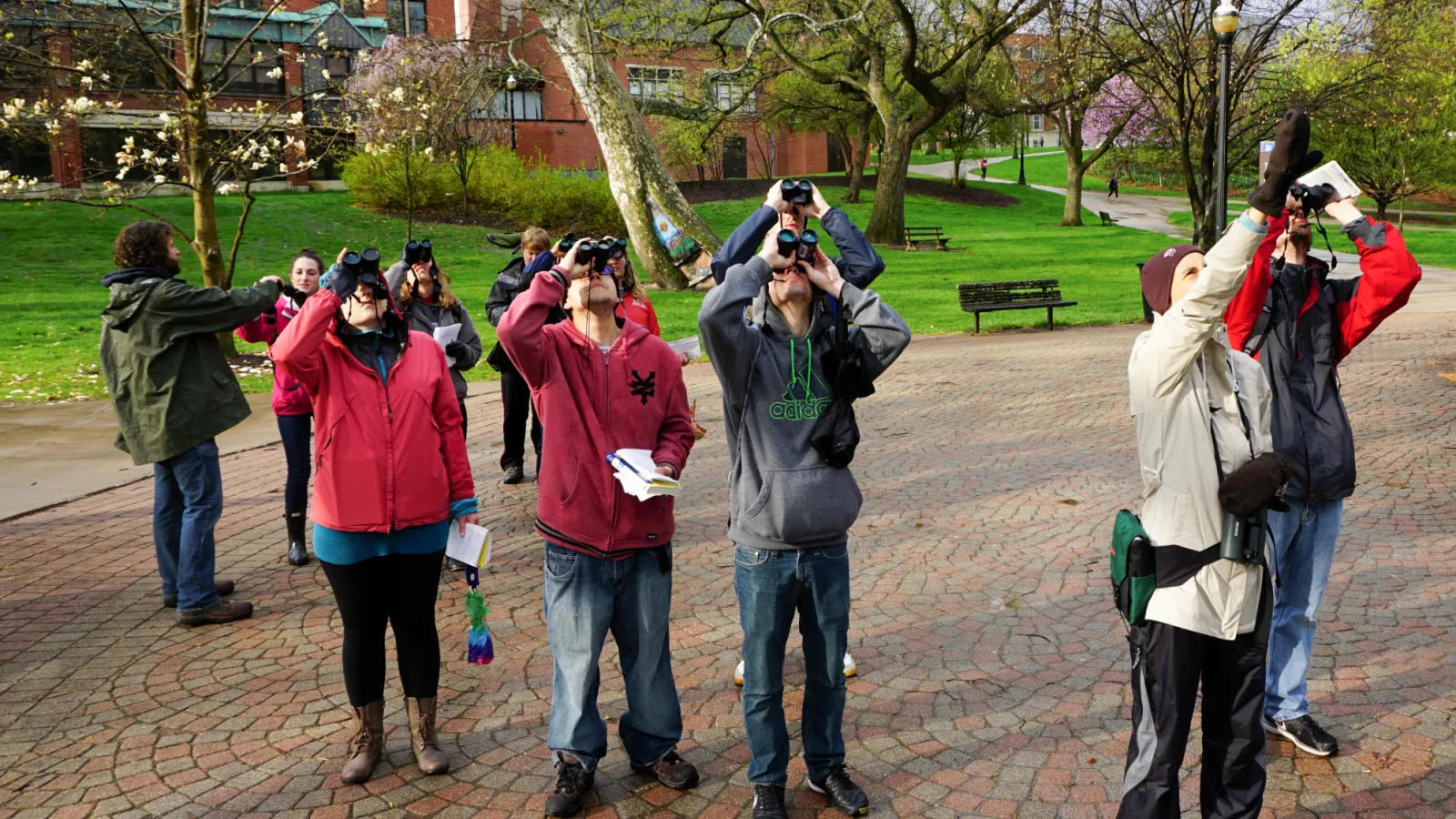 birding