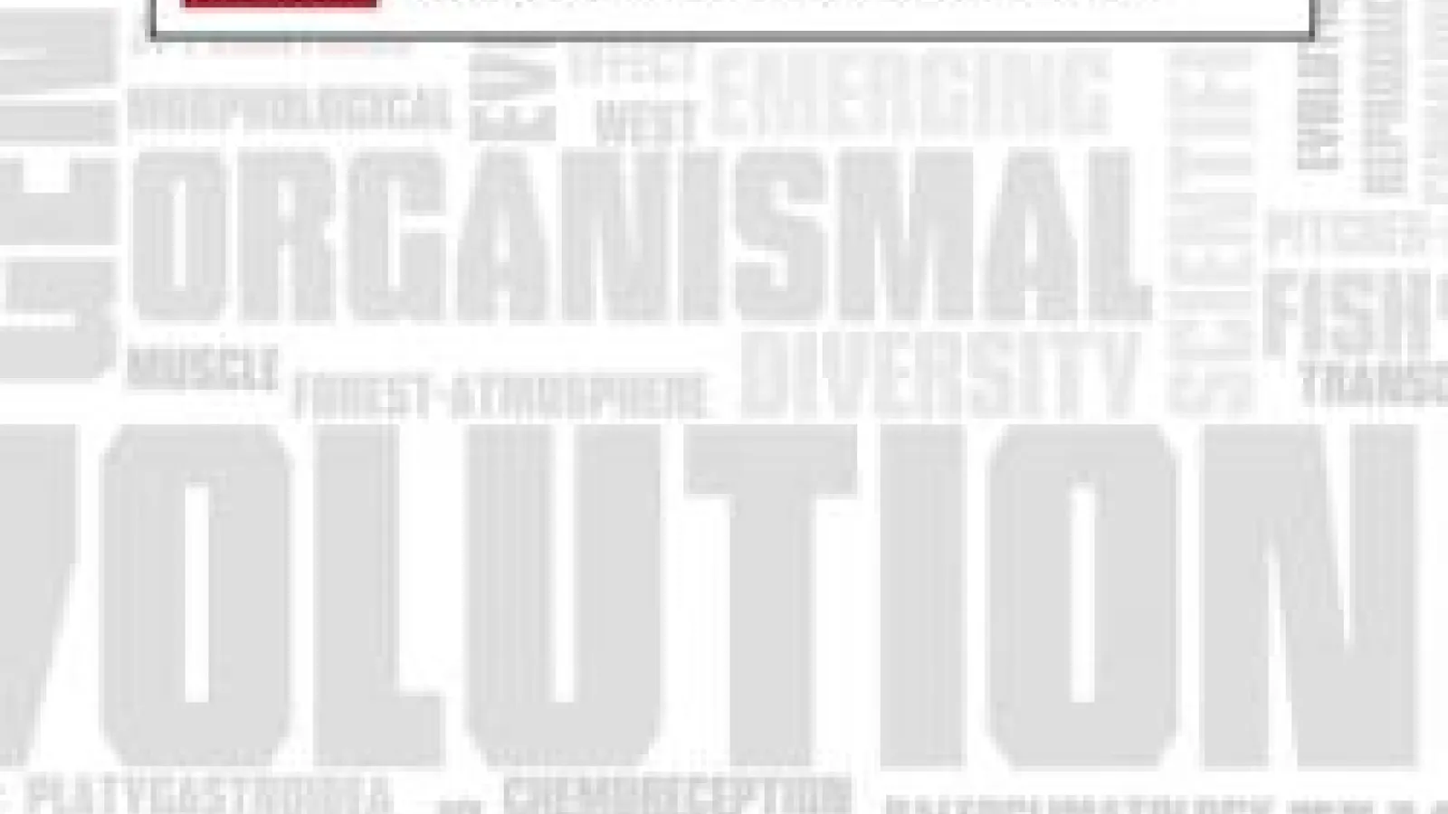 EEOB horizontal graphic on gray and white word cloud