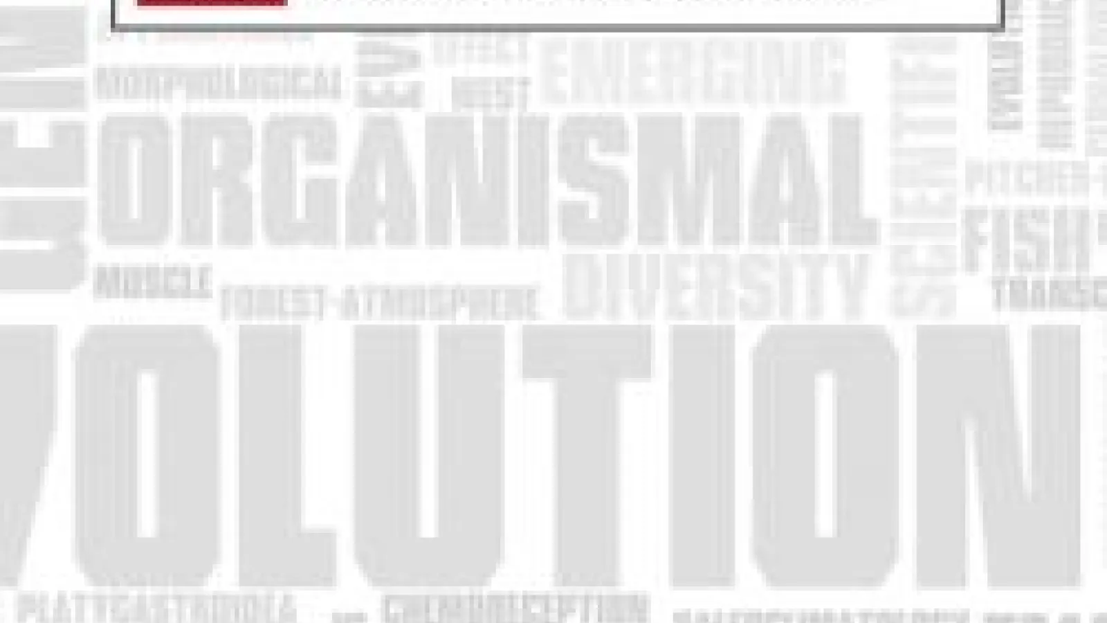 EEOB horizontal graphic on gray and white word cloud