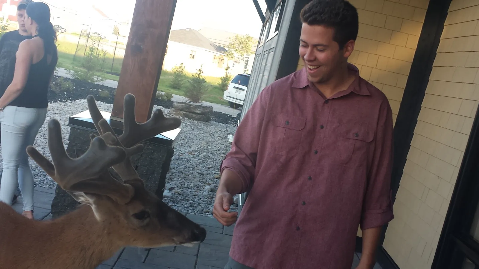 sam + deer