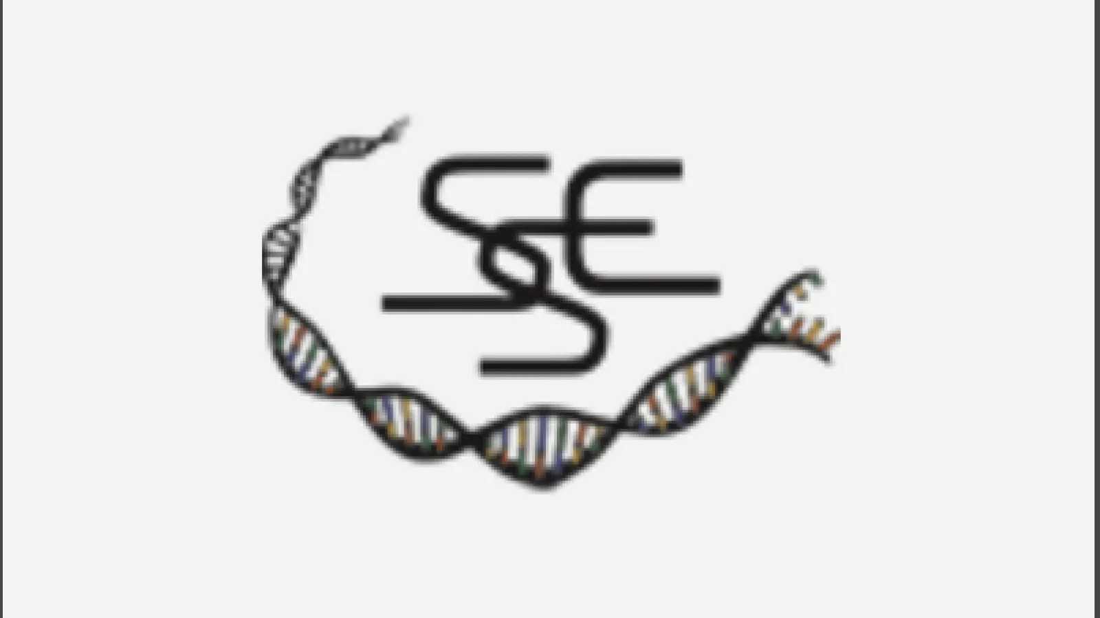 SSE