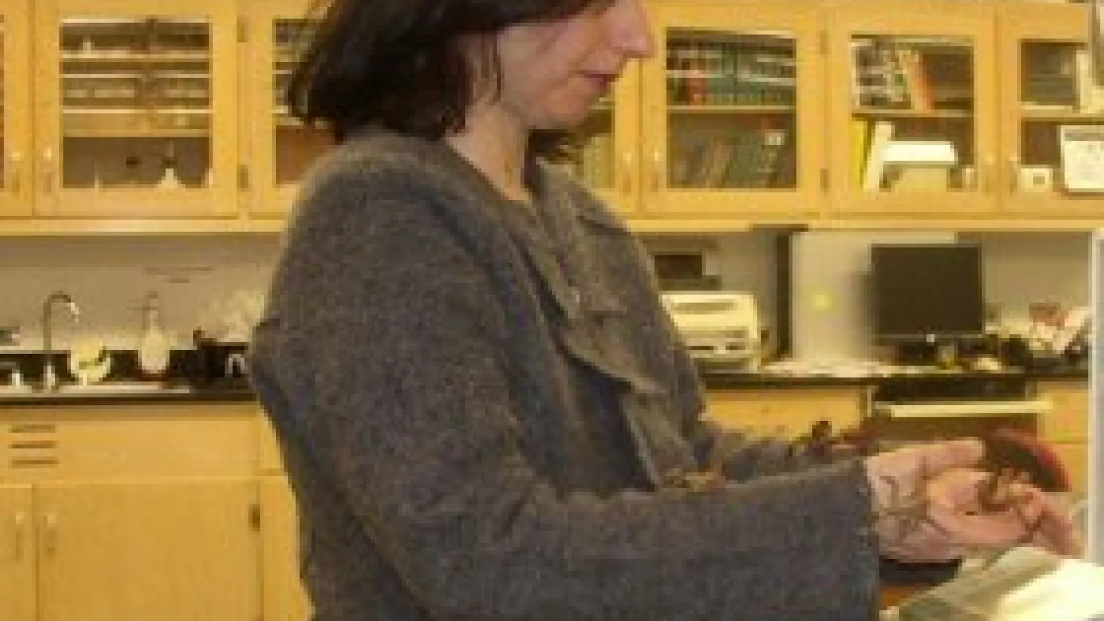 Zeynep