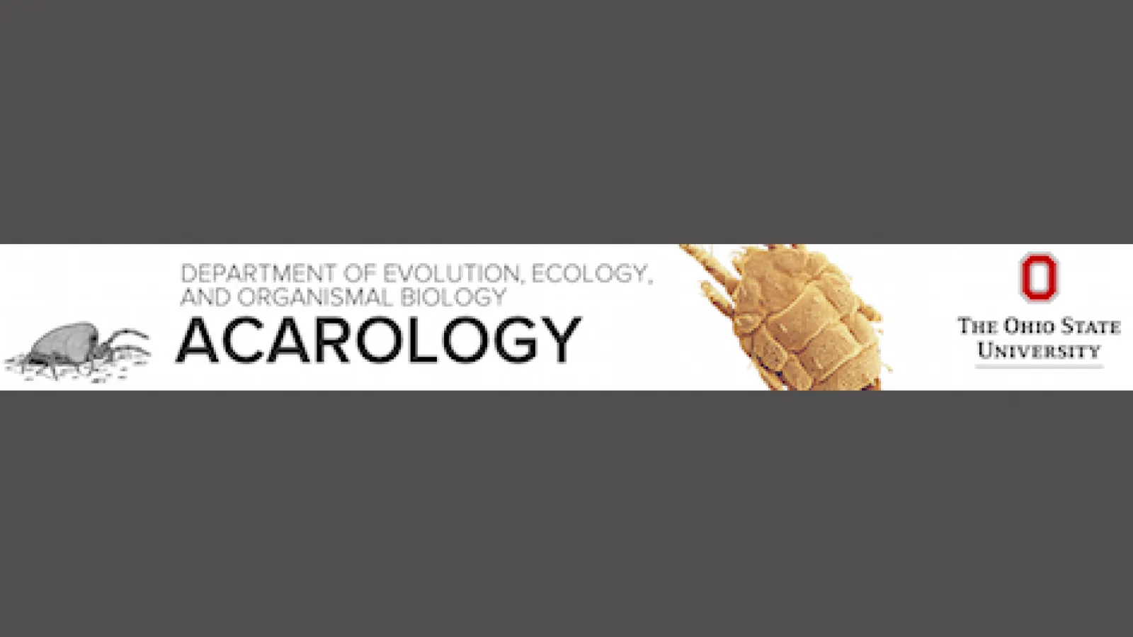 acarology