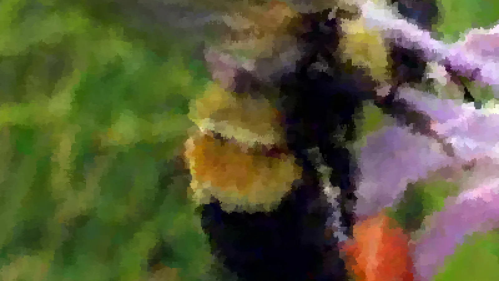 rusty patch bumble bee