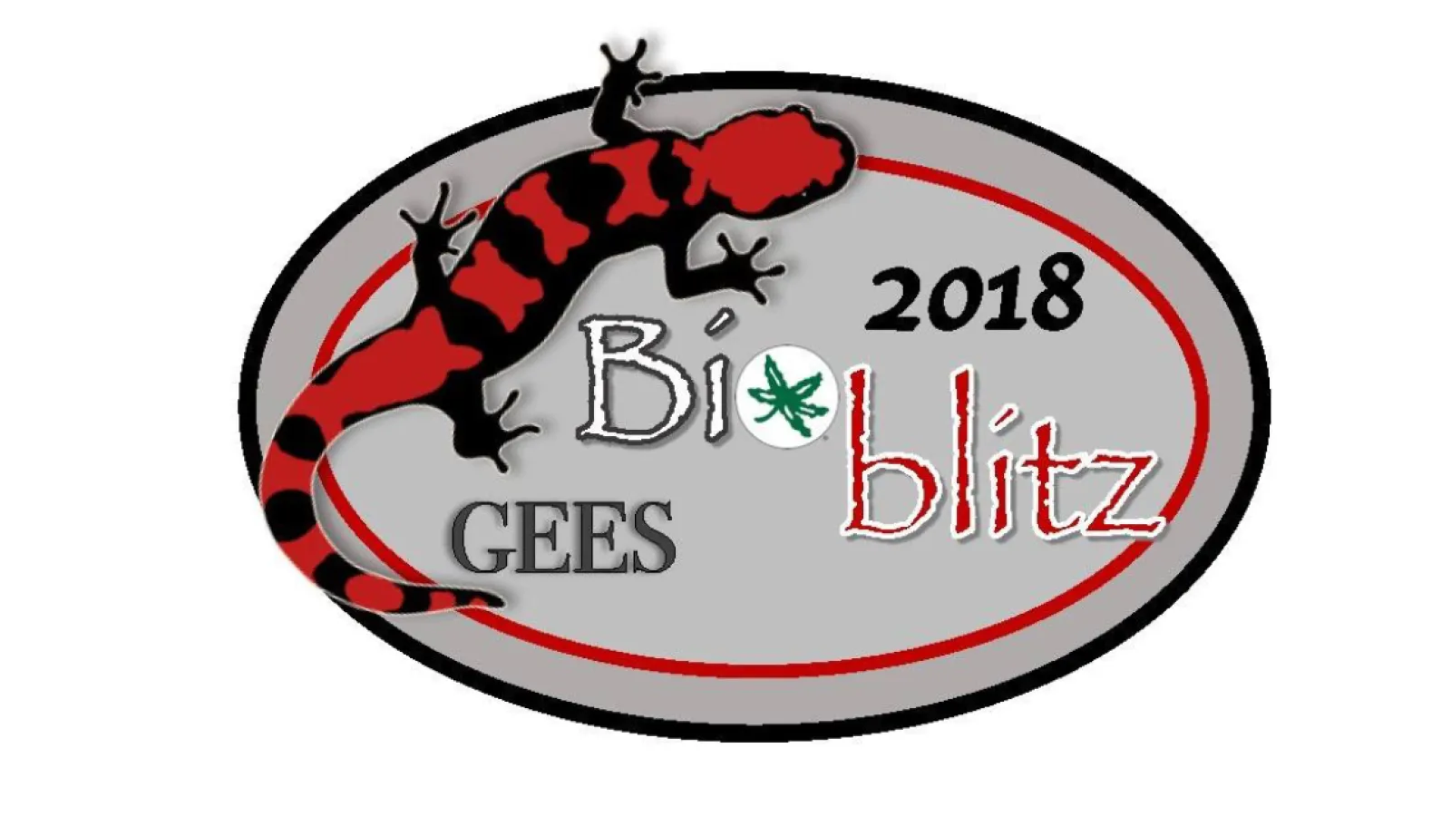 bioblitz 2018