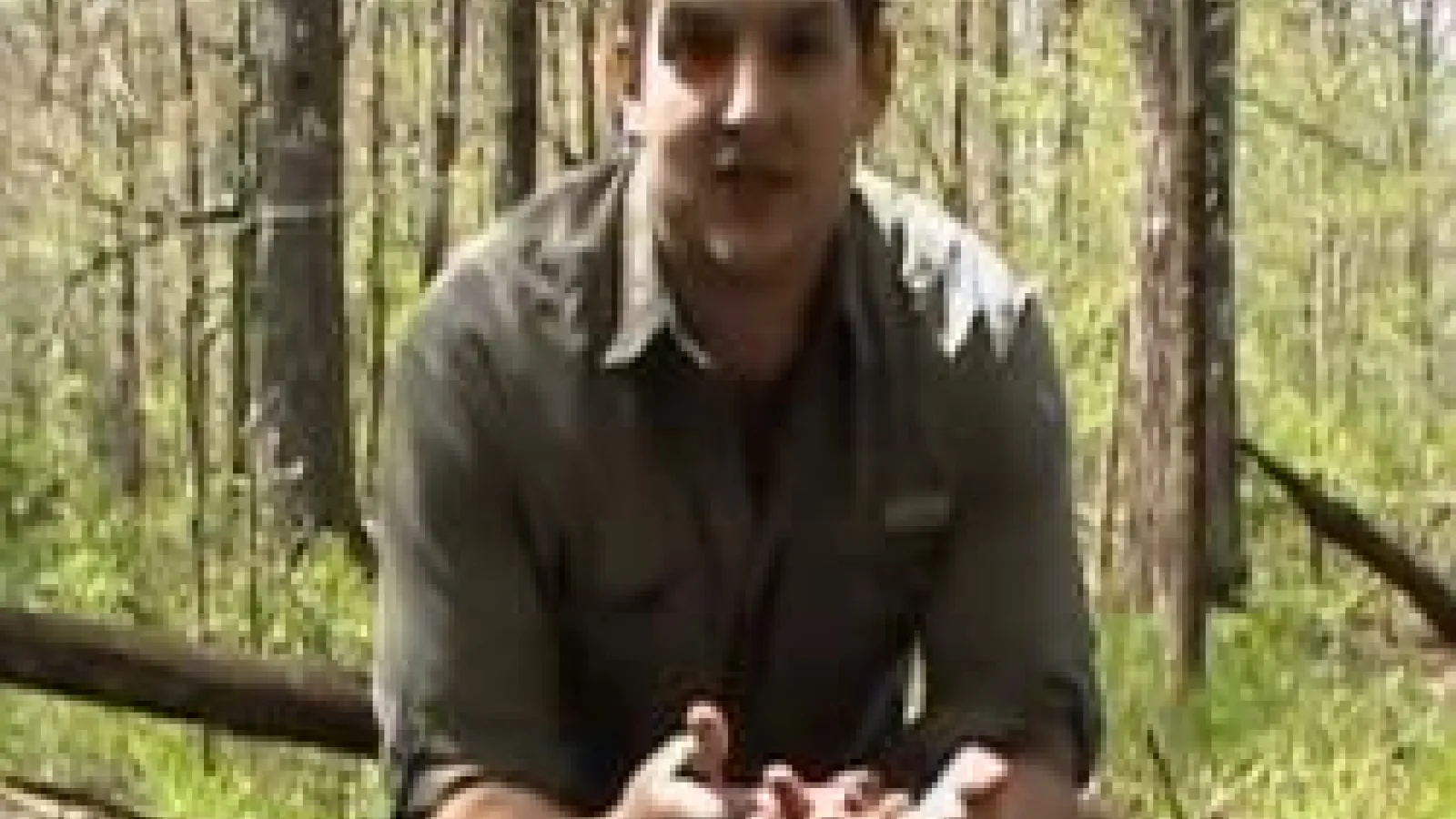 Rob Denton seated on fallen tree in heavily wooded area during early spring
