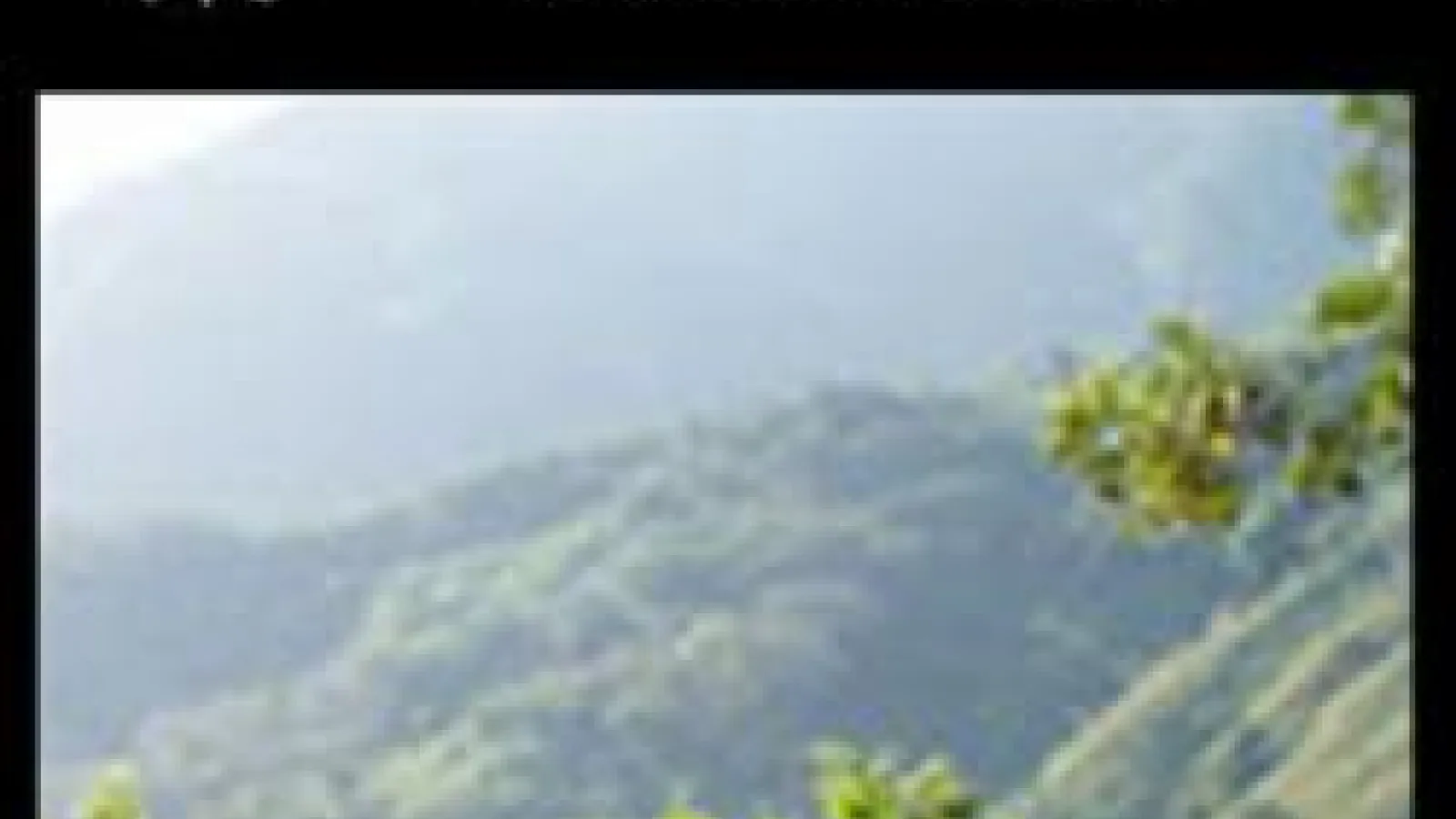 Smithsonian Tropical Research Institute logo on black framing image of Costa Rican forested hillsides