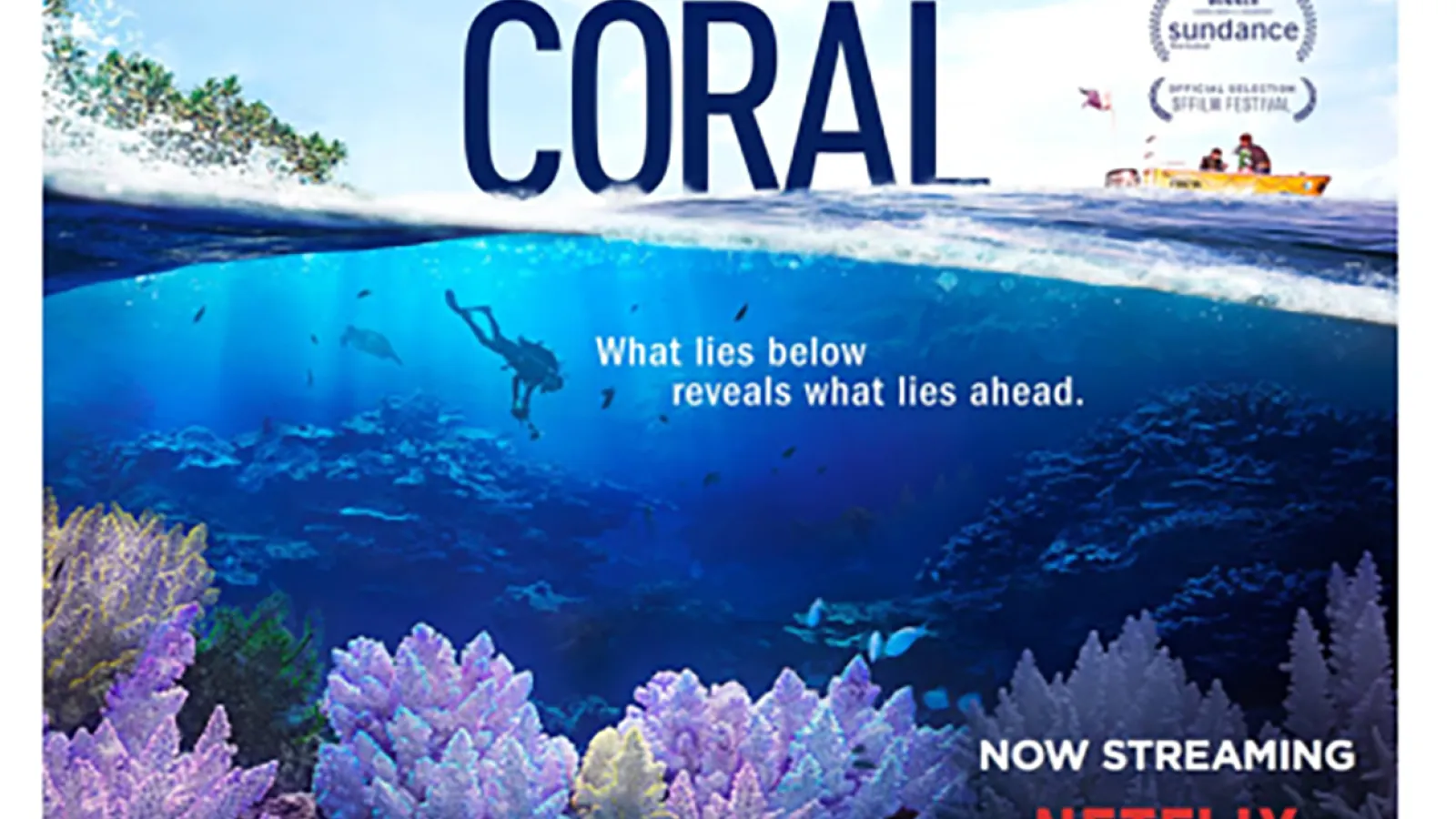 Chasing Coral