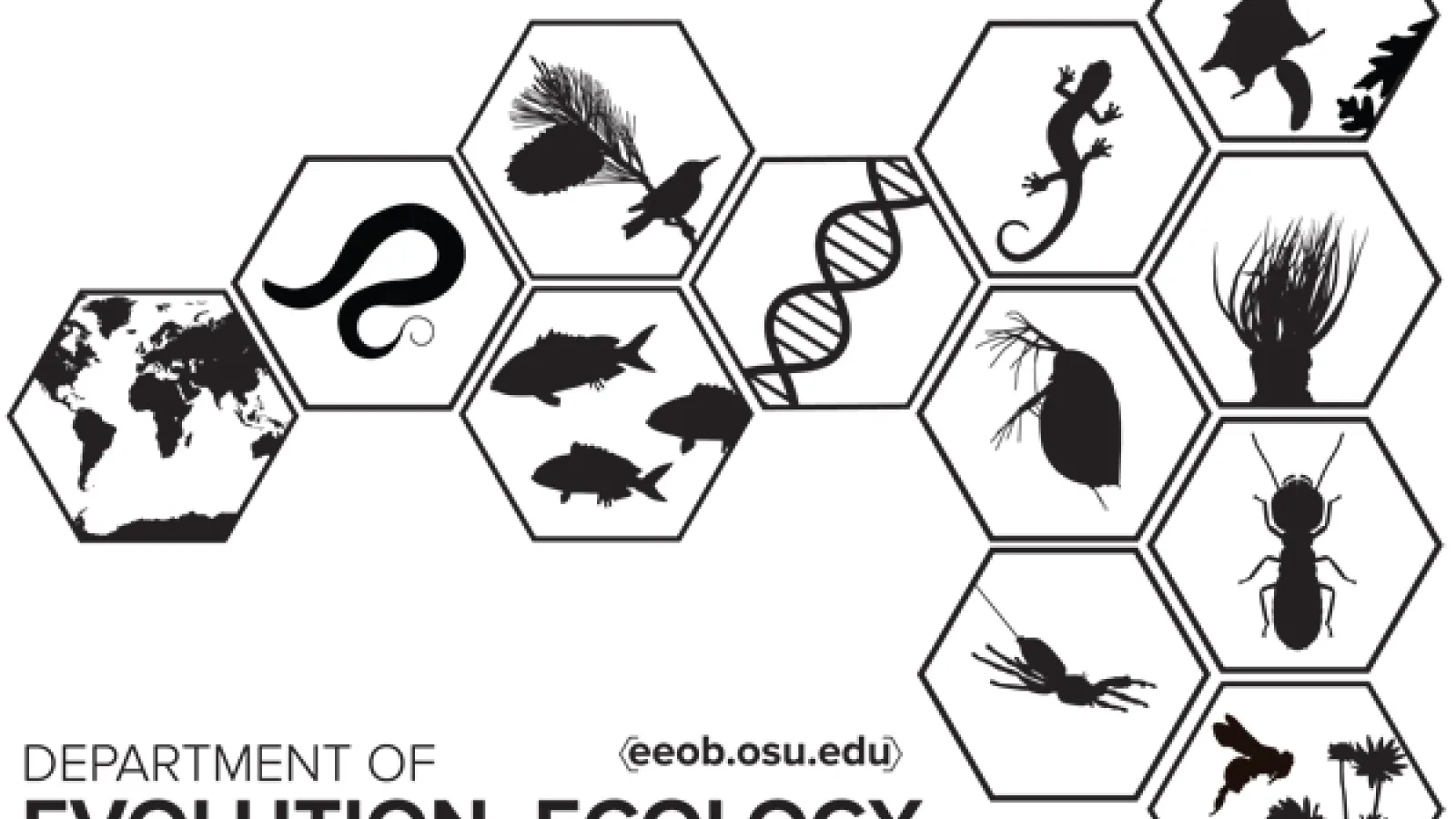 EEOB graphic 2016