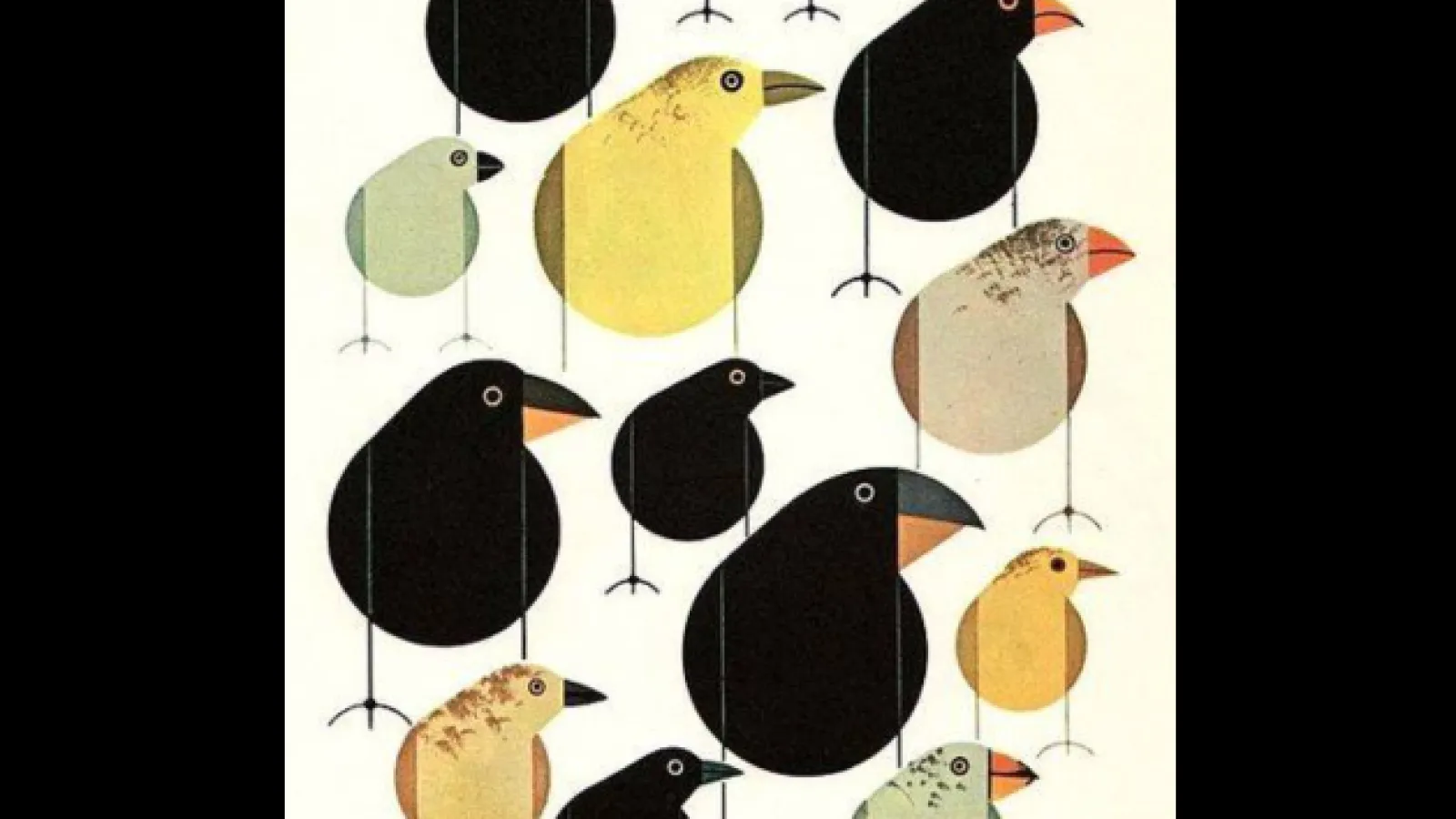 beak of the finch