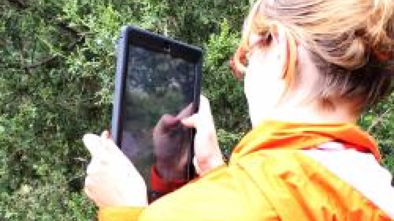 EEOB3320 student using iPad to take picture of gymnosperm at Chadwick learning gardens