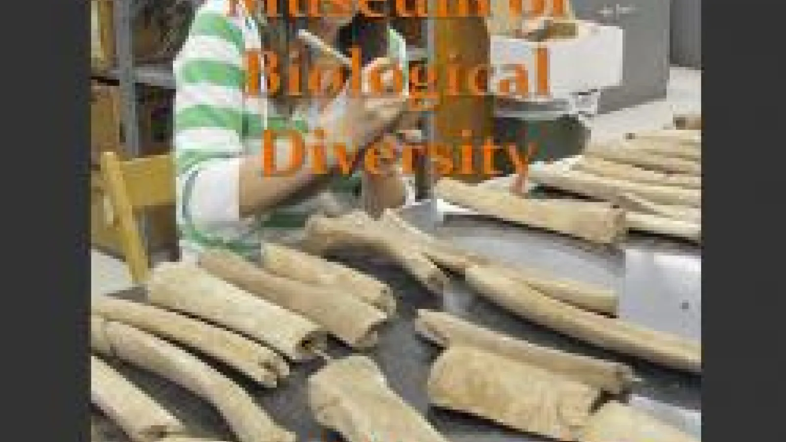 screenshot of MBD newsletter